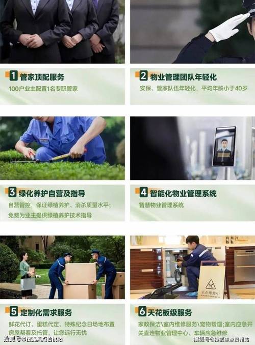 數字溪谷 當智能科技遇見灣區宜居范本